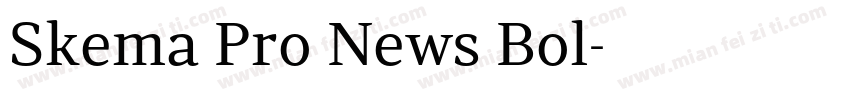 Skema Pro News Bol字体转换